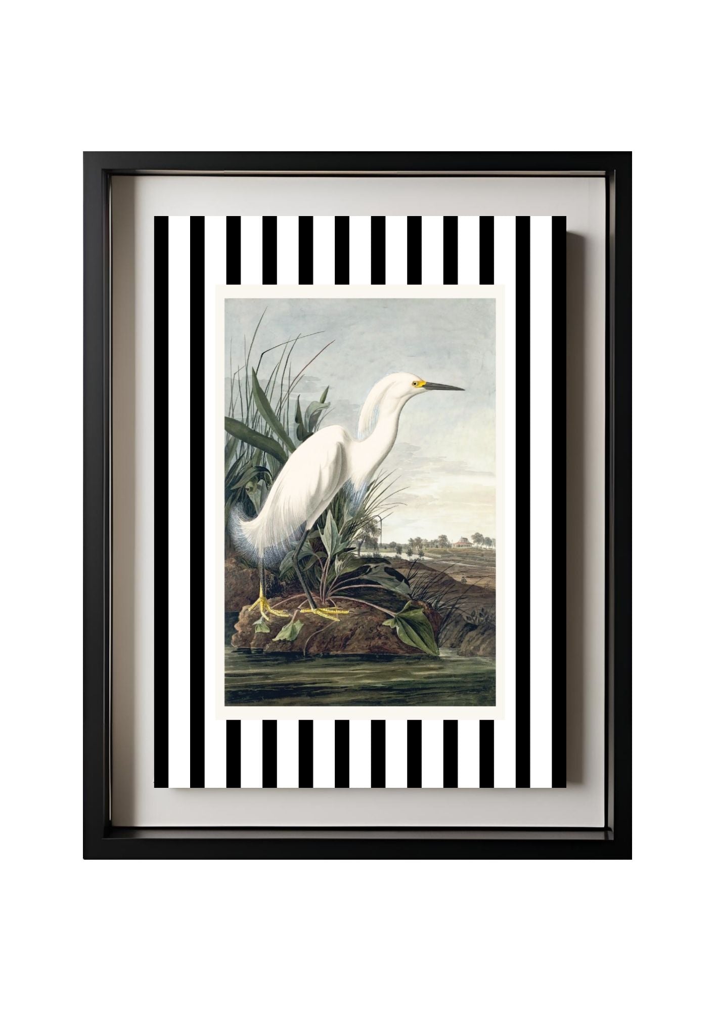 Snowy Egret
