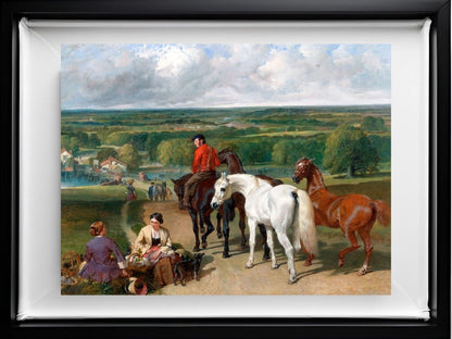 Exercising the Royal Horses