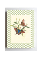 Papilio Peranthus