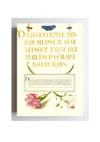 Insects, Carnation, and Judas Tree