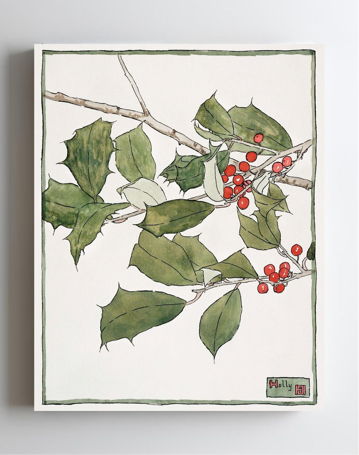 Holly