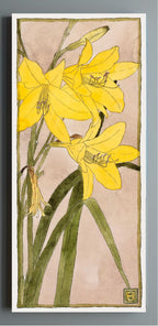 Yellow Day Lily