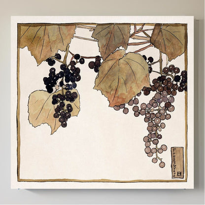 Frost Grape