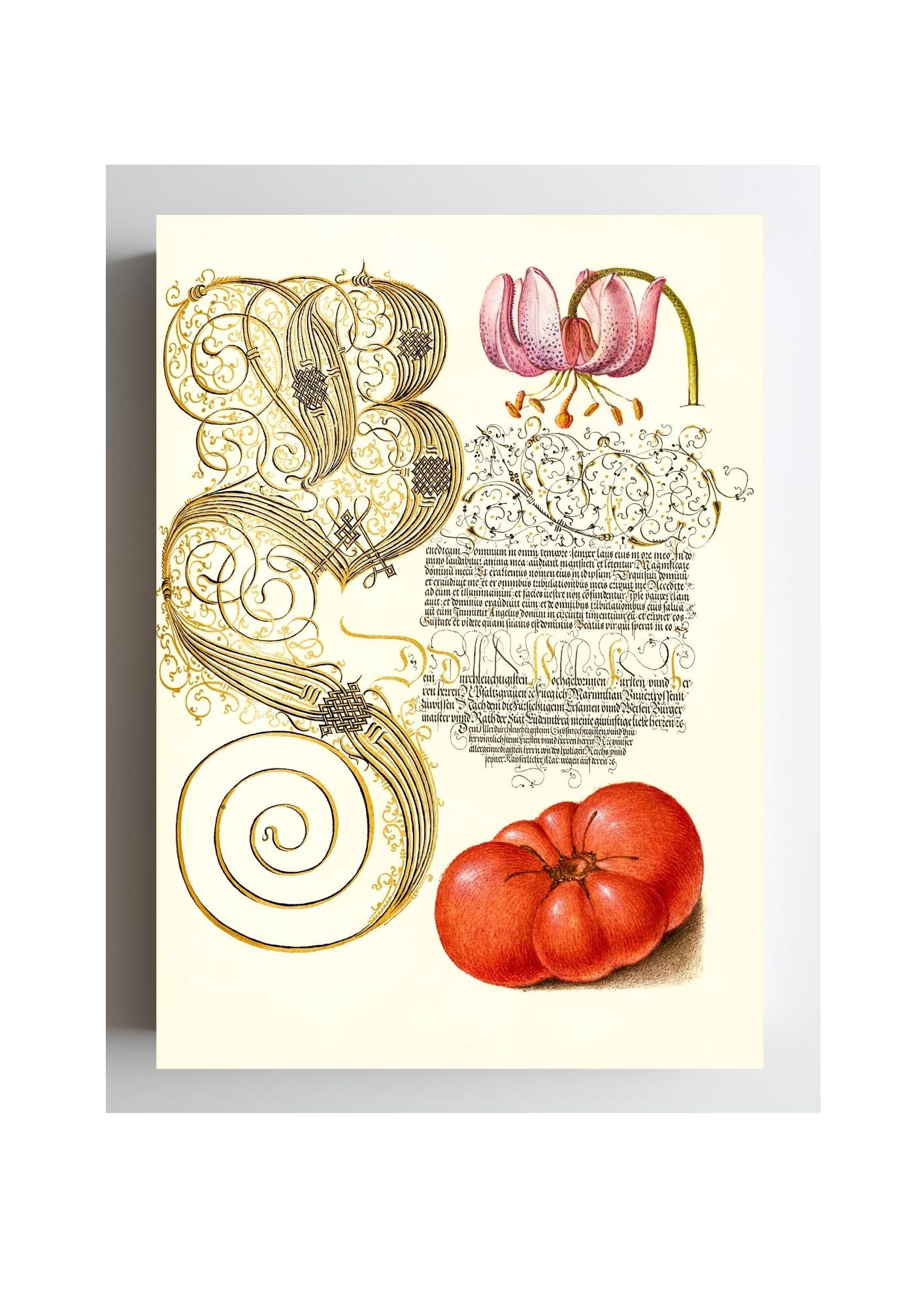 Martagon Lily and Tomato