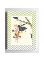 Papilio Crino