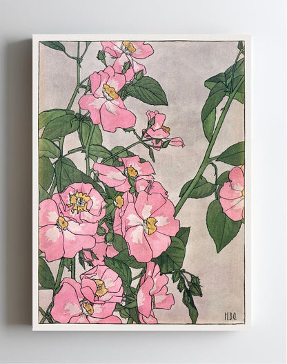 Prairie Rose