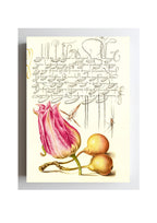 Imaginary Insect, Tulip, Spider, and Common Pear