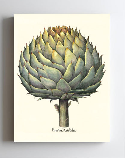Italian artichoke head