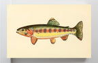 The Golden Trout of Volcano Creek, California