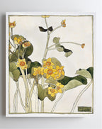 Marsh Marigold