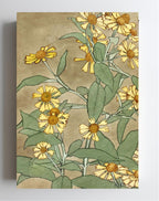 Daisies with Orange Centre and Yellow Petals