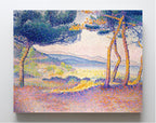 Pines Along the Shore
