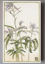 Pink Flowers with Spiky Green Leaves