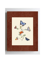 Butterflies 4