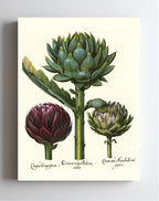 Artichoke heads