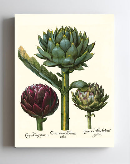 Artichoke heads