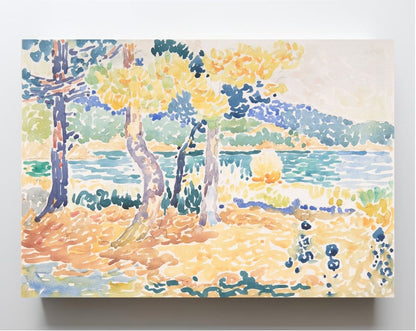 Pines on the Coastline