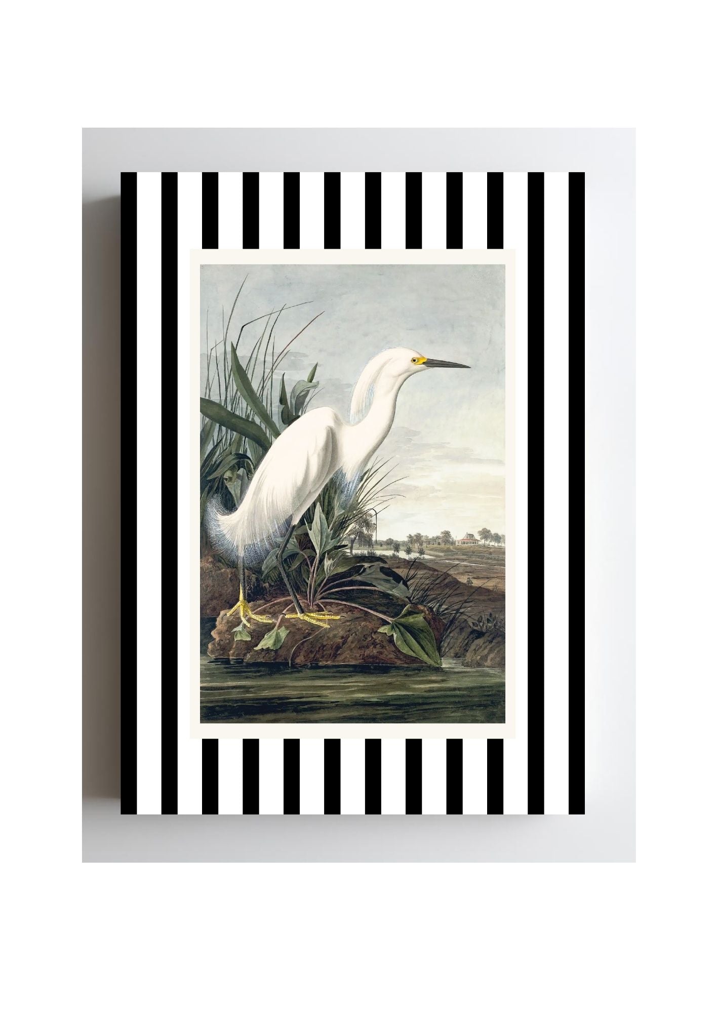 Snowy Egret