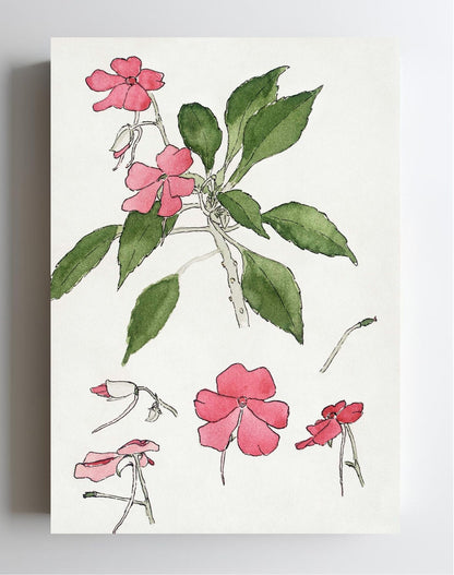 Sultana