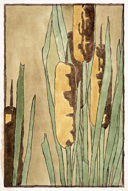 Cattail