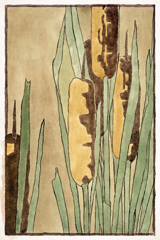 Cattail