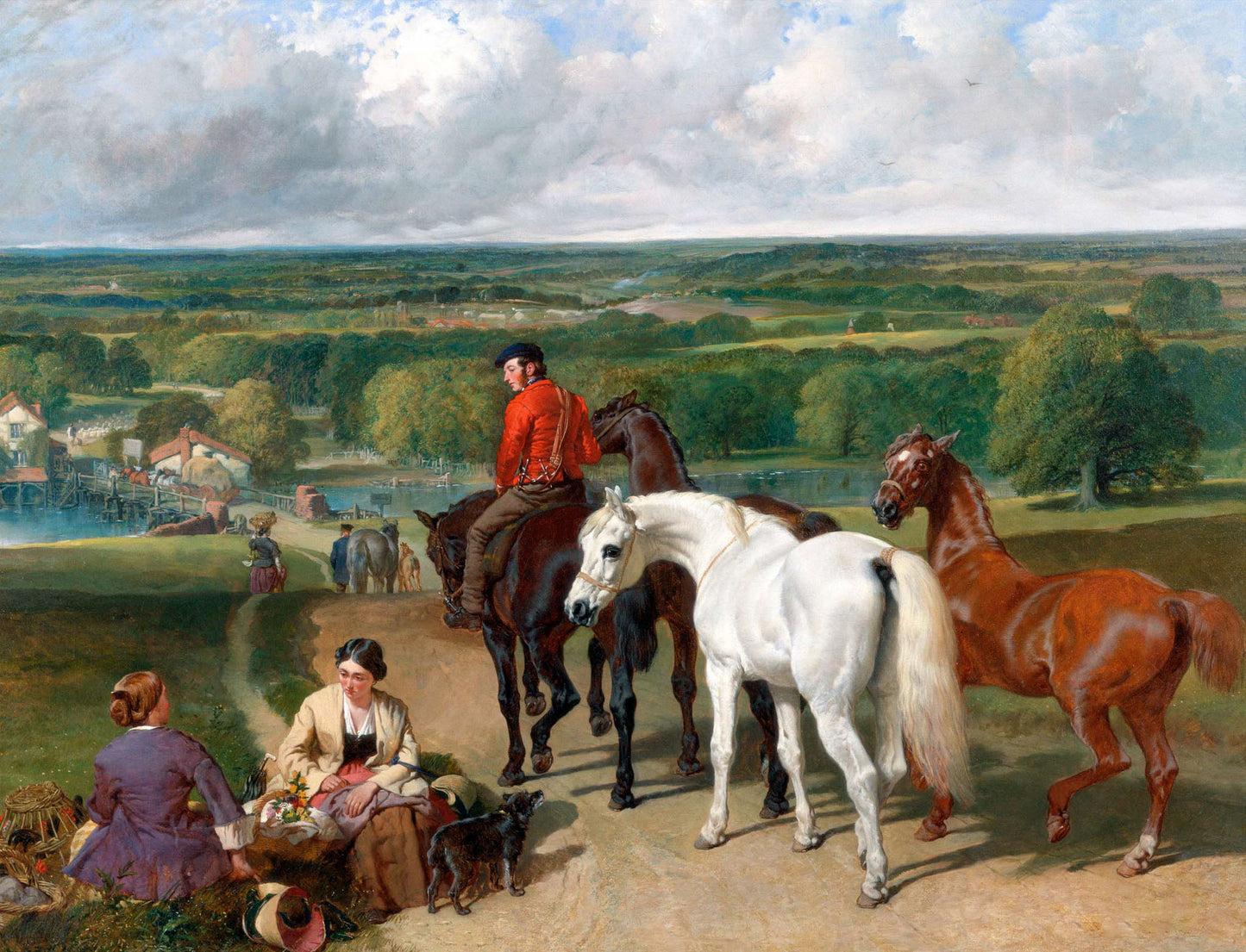 Exercising the Royal Horses