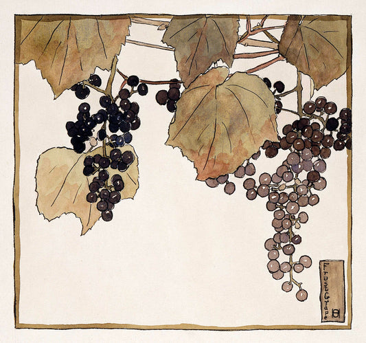 Frost Grape