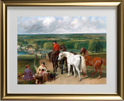 Exercising the Royal Horses