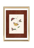 Butterflies 2