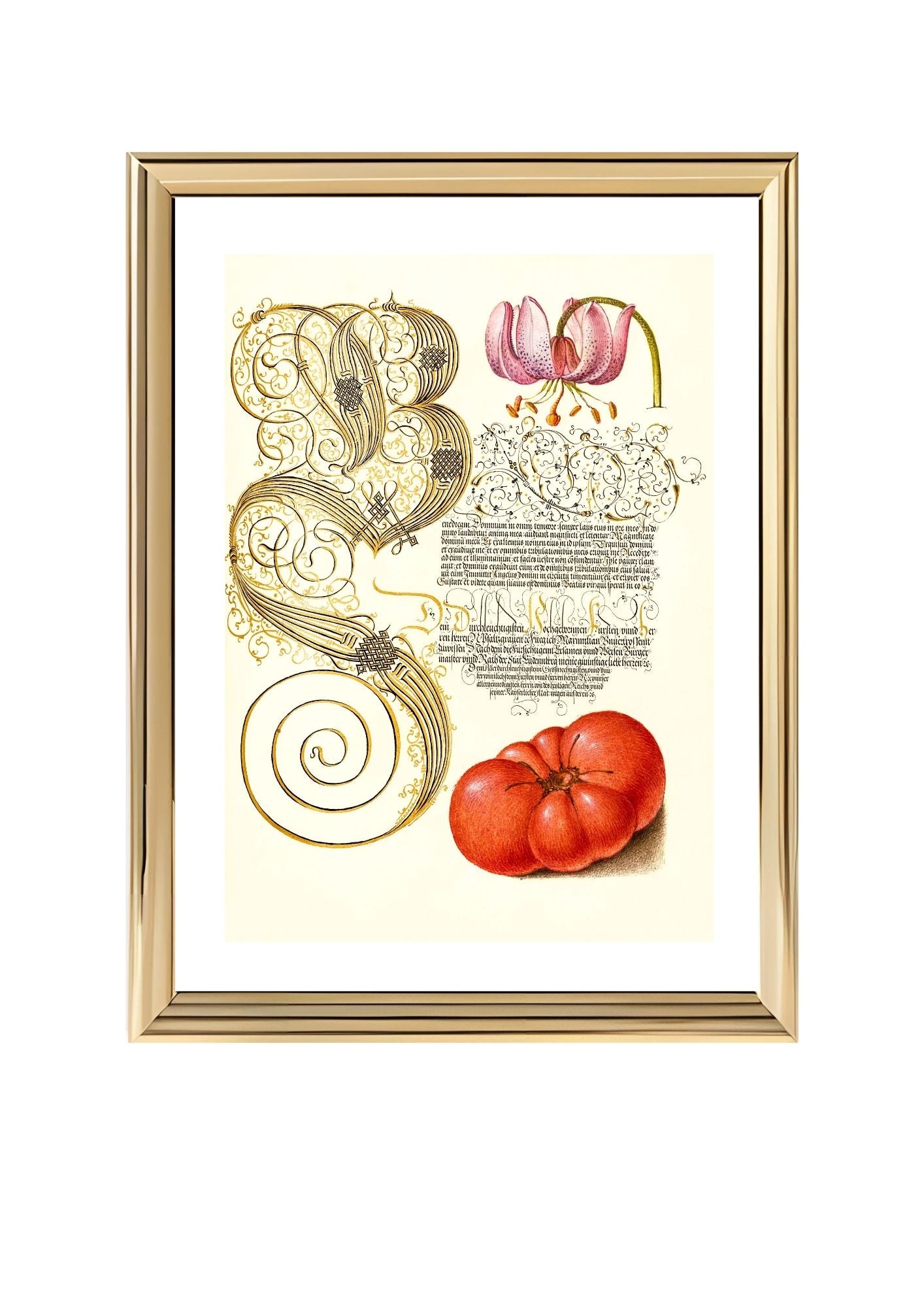 Martagon Lily and Tomato