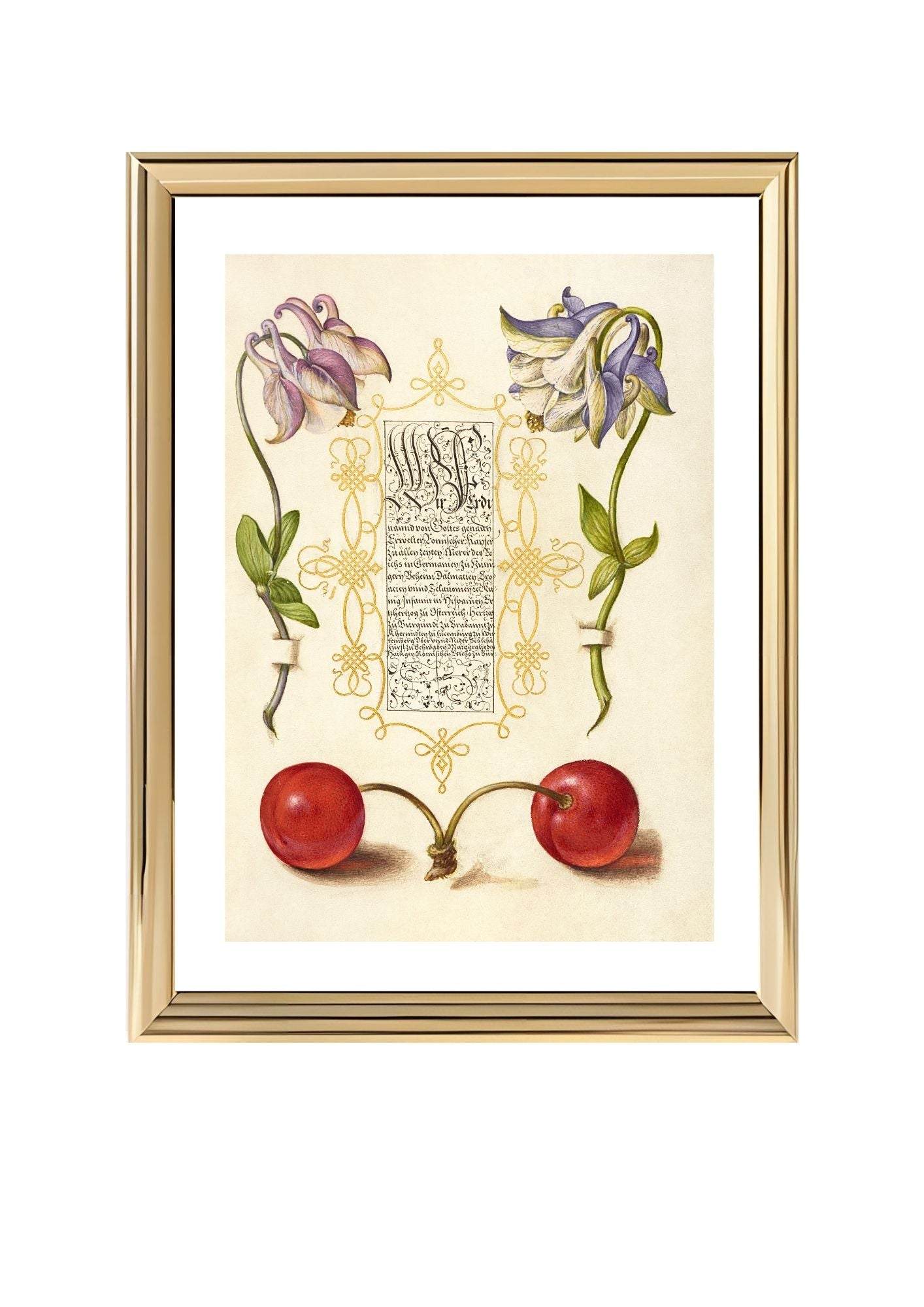 European Columbines and Sweet Cherry
