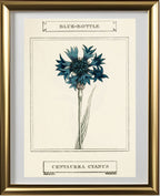 Blue-Bottle