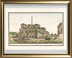 Lat (piller) of Asoka and Firoz Shah's Kotila