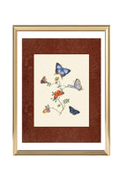 Butterflies 4
