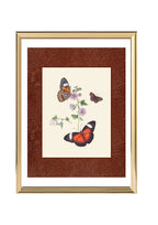 Butterflies 1