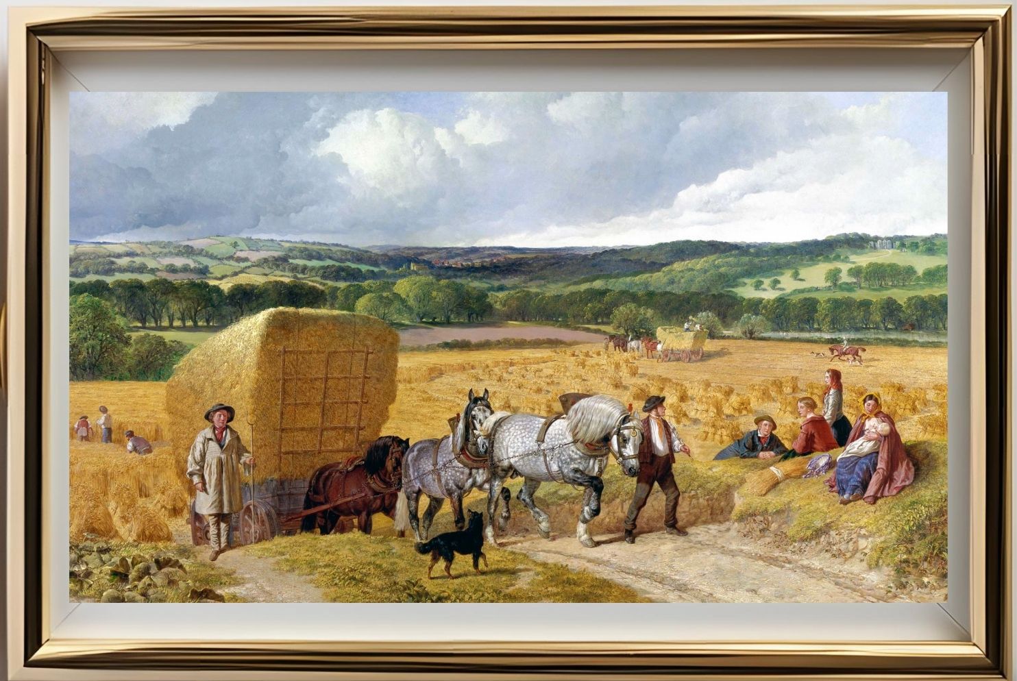 The Harvest