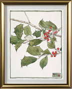 Holly
