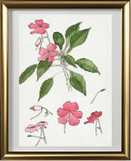 Sultana
