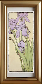 Iris