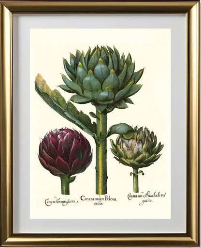 Artichoke heads