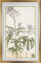 Pink Flowers with Spiky Green Leaves