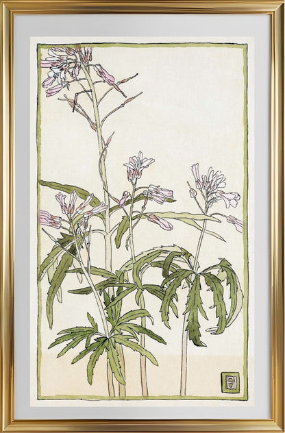 Pink Flowers with Spiky Green Leaves