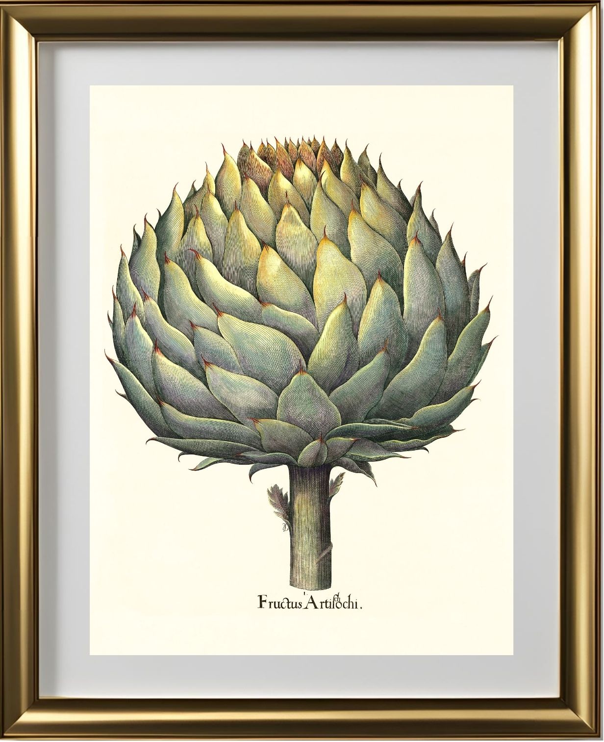 Italian artichoke head