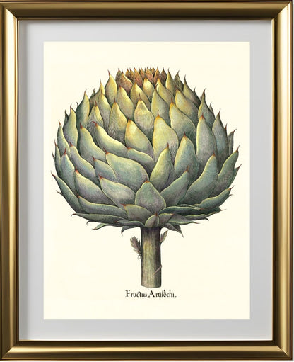 Italian artichoke head