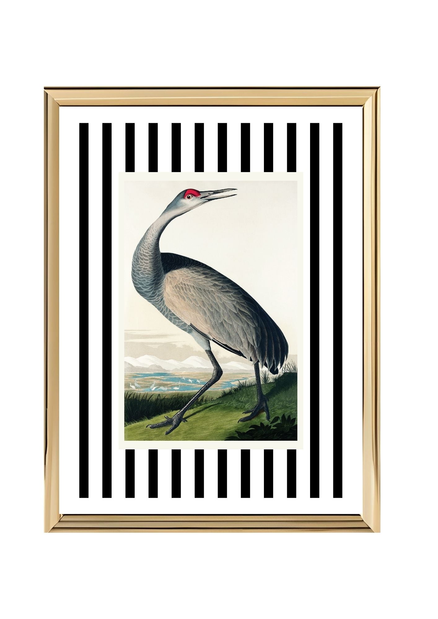 Hooping Crane