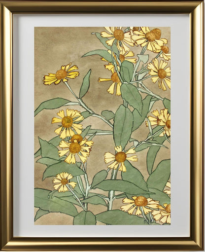 Daisies with Orange Centre and Yellow Petals