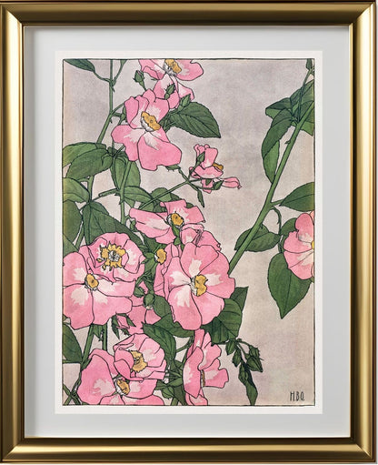 Prairie Rose