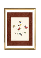 Beetles 2