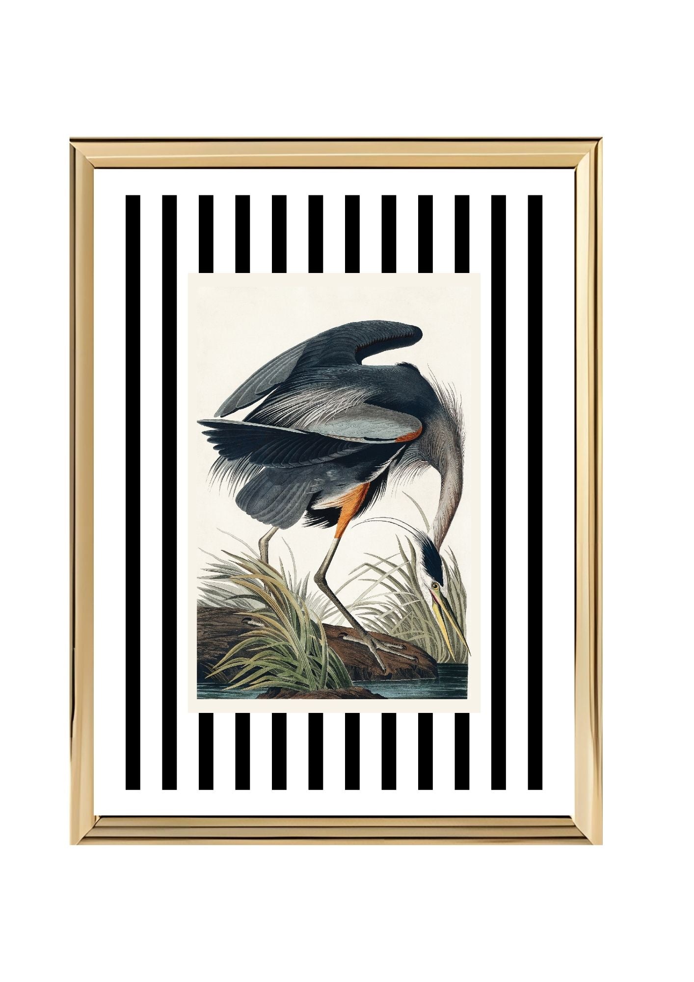 Great Blue Heron