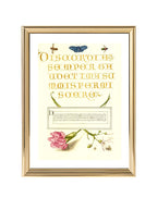 Insects, Carnation, and Judas Tree